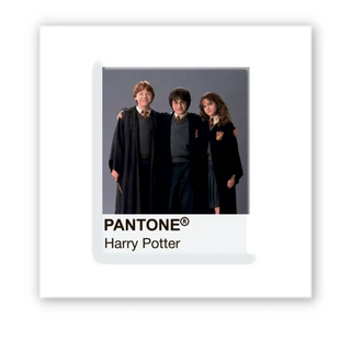3D-стікер "Pantone Potter 2" (SX-264) , 1 шт 6200 фото