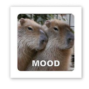 3D-стікер "Kapibara mood" SX-197 , 1 шт 3283 фото