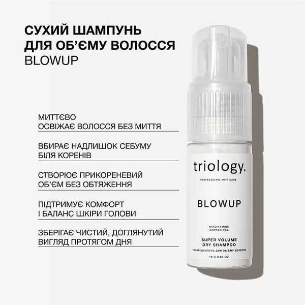 Сухий шампунь для об'єму волосся Triology. Blowup , 18 г 8892 фото