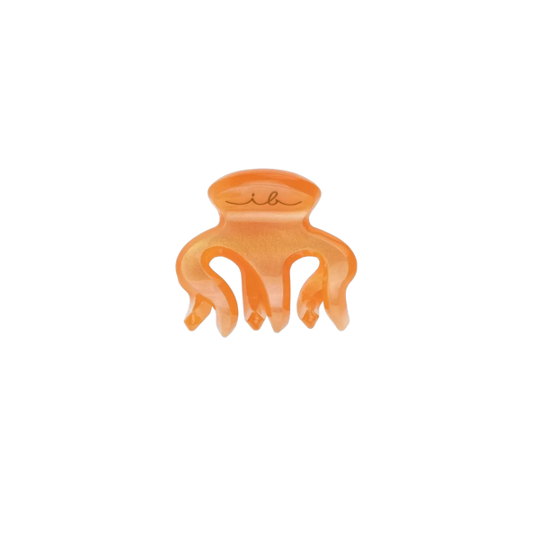 Заколка для волосся Invisibobble Clipstar XS Oasis Petit Citrus , 4 в 1 6461 фото