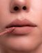 Оксамитова матова помада Zola Velour Lip Souffle №02 RoseWood , 4.2 мл 10610 фото 4